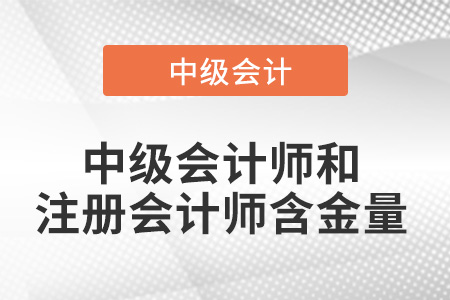 中級(jí)會(huì)計(jì)師和注冊(cè)會(huì)計(jì)師哪個(gè)含金量高？