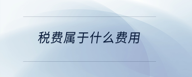 稅費屬于什么費用？
