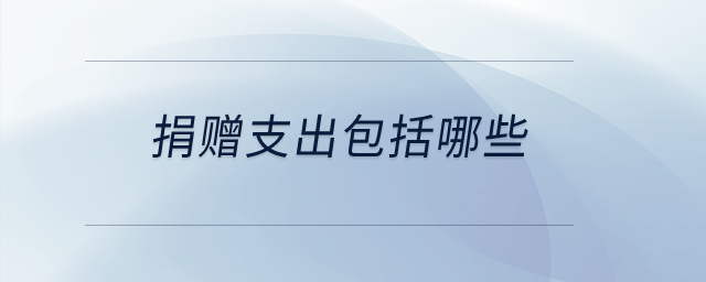 捐贈支出包括哪些？