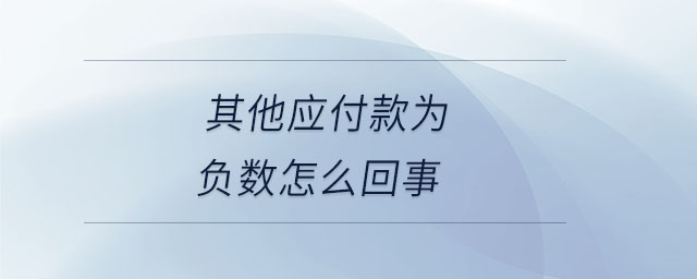 其他應付款為負數(shù)怎么回事