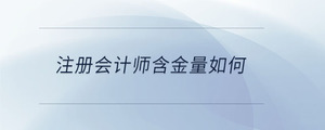 注冊(cè)會(huì)計(jì)師含金量如何