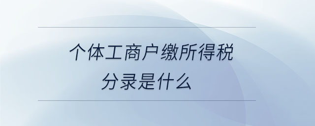 個體工商戶繳所得稅分錄是什么