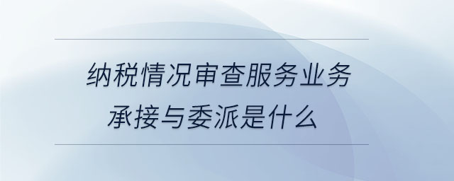 納稅情況審查服務業(yè)務承接與委派是什么