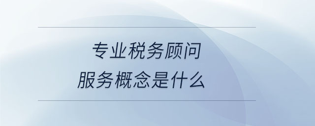 專業(yè)稅務(wù)顧問服務(wù)概念是什么