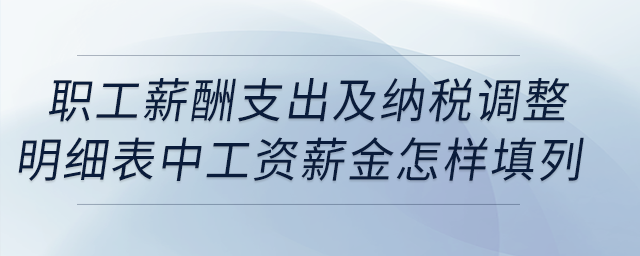 職工薪酬支出及納稅調(diào)整明細(xì)表中工資薪金怎樣填列？