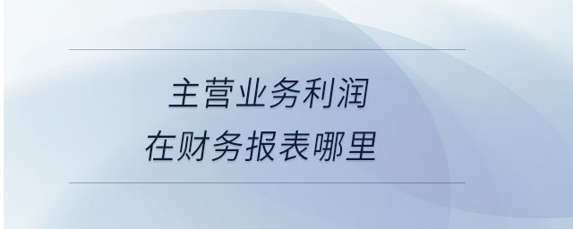 主營(yíng)業(yè)務(wù)利潤(rùn)在財(cái)務(wù)報(bào)表哪里