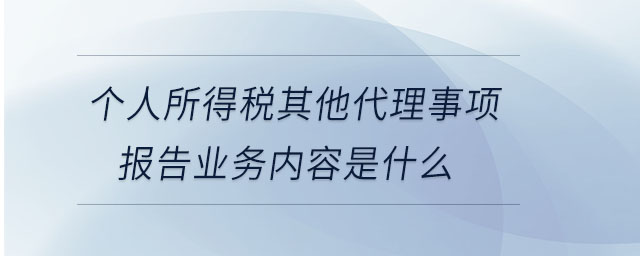 個人所得稅其他代理事項報告業(yè)務(wù)內(nèi)容是什么