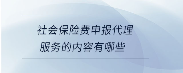 社會保險費申報代理服務的內容有哪些