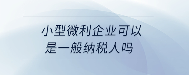 小型微利企業(yè)可以是一般納稅人嗎？