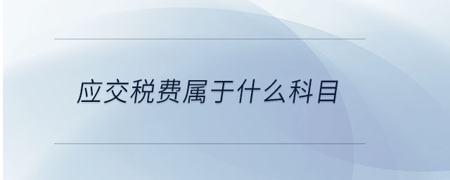 應(yīng)交稅費屬于什么科目