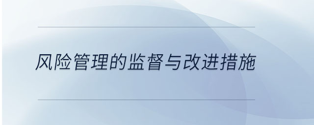風險管理的監(jiān)督與改進措施