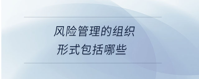 風(fēng)險(xiǎn)管理的組織形式包括哪些