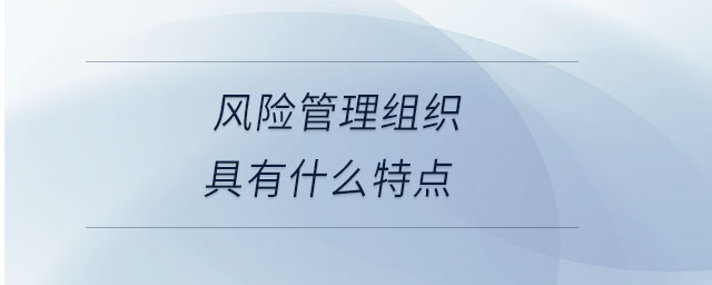 風(fēng)險管理組織具有什么特點