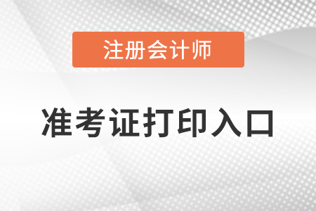 2023年浙江省麗水注冊(cè)會(huì)計(jì)準(zhǔn)考證在哪里打??？