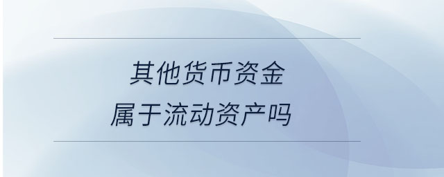 其他貨幣資金屬于流動(dòng)資產(chǎn)嗎