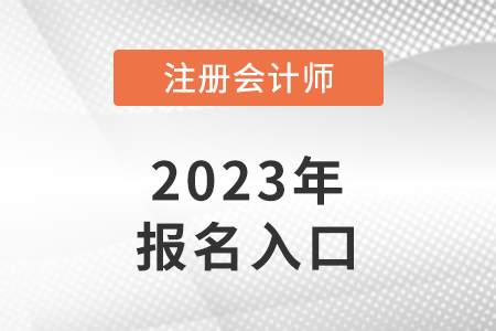 注冊(cè)會(huì)計(jì)師報(bào)名官網(wǎng)入口能看么？