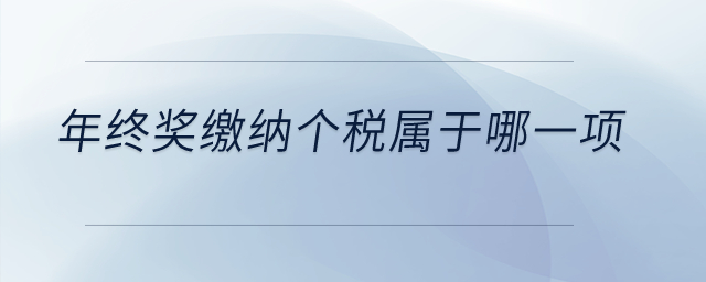 年終獎繳納個稅屬于哪一項？