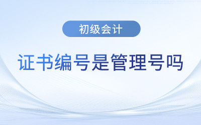 初級會計專業(yè)技術(shù)資格證書號是管理號嗎？