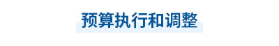 2023年中級(jí)會(huì)計(jì)經(jīng)濟(jì)法第七章思維導(dǎo)圖：預(yù)算執(zhí)行和調(diào)整