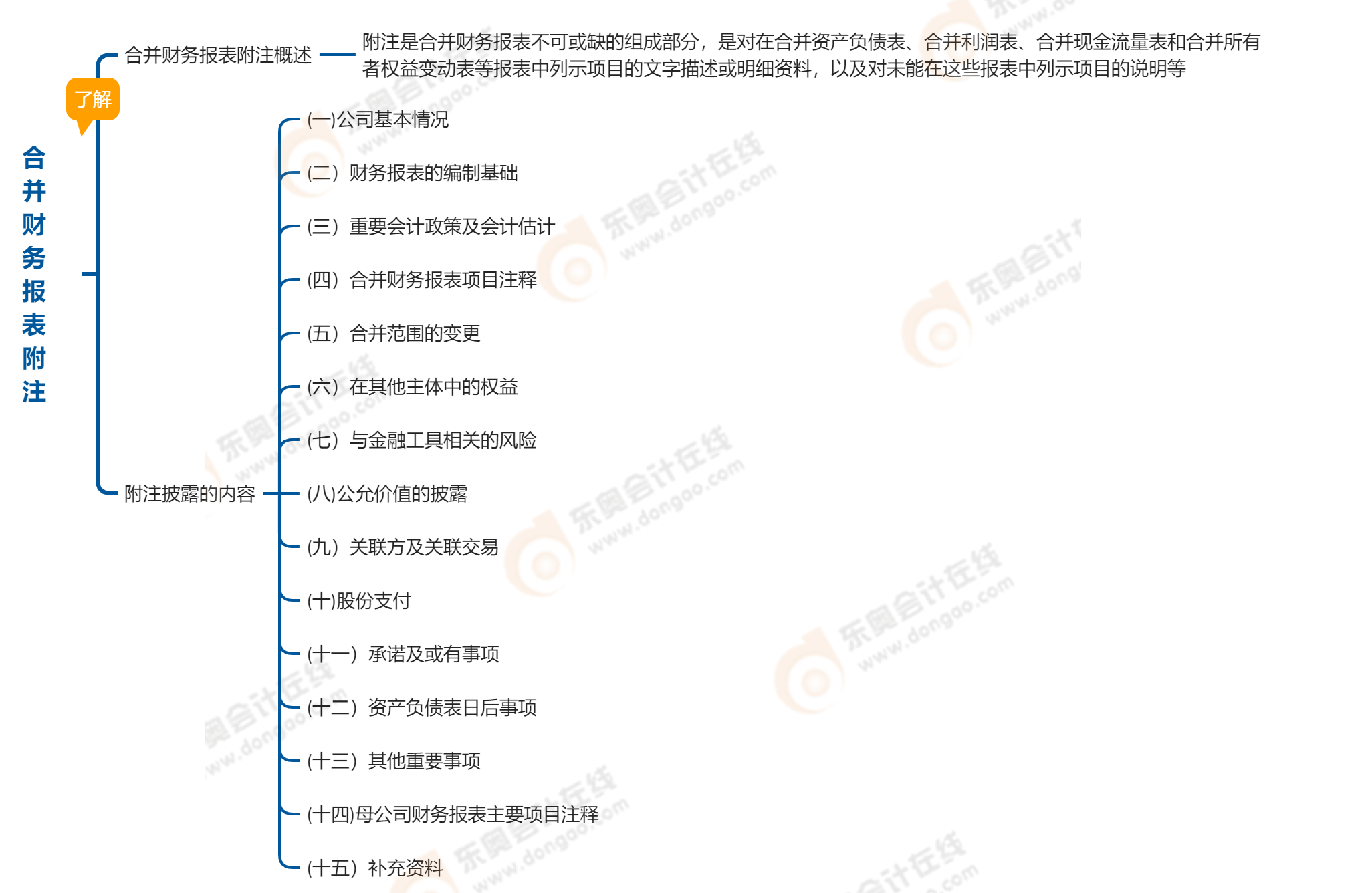 中級會計(jì)實(shí)務(wù)第二十一章合并財(cái)務(wù)報(bào)表附注