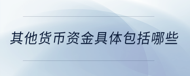 其他貨幣資金具體包括哪些？