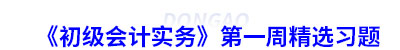 《初級(jí)會(huì)計(jì)實(shí)務(wù)》第一周精選習(xí)題