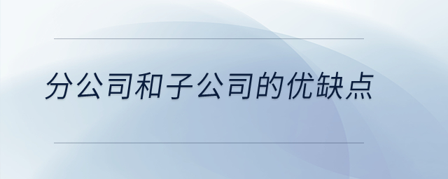 分公司和子公司的優(yōu)缺點？