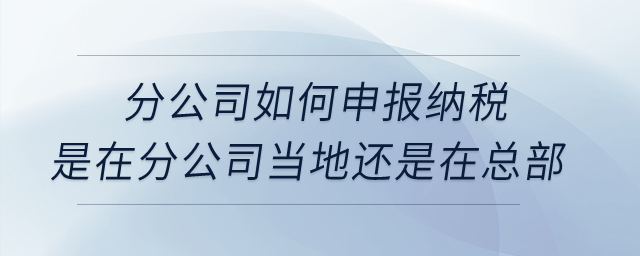 分公司如何申報(bào)納稅？是在分公司當(dāng)?shù)剡€是在總部？