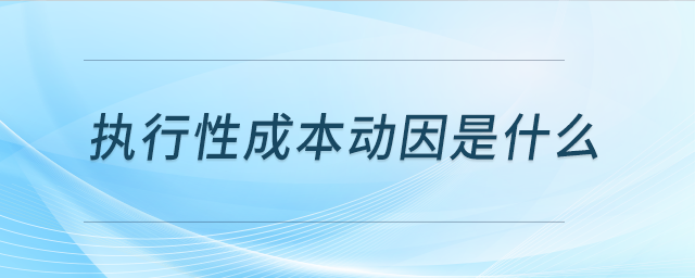 執(zhí)行性成本動因是什么