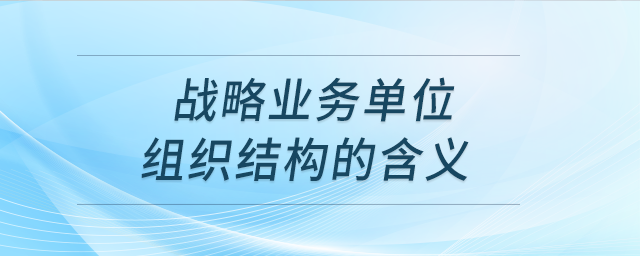 戰(zhàn)略業(yè)務(wù)單位組織結(jié)構(gòu)的含義