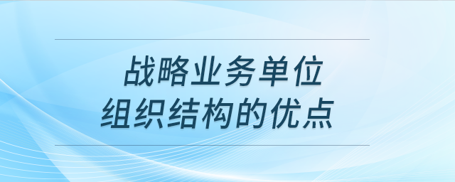 戰(zhàn)略業(yè)務(wù)單位組織結(jié)構(gòu)的優(yōu)點(diǎn)