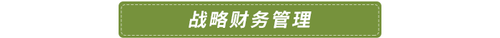 戰(zhàn)略財務管理