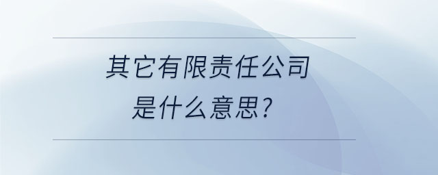 其它有限責任公司是什么意思