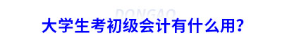 大學(xué)生考初級(jí)會(huì)計(jì)有什么用？