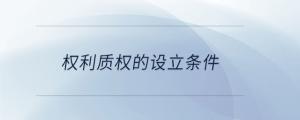 權(quán)利質(zhì)權(quán)的設(shè)立條件
