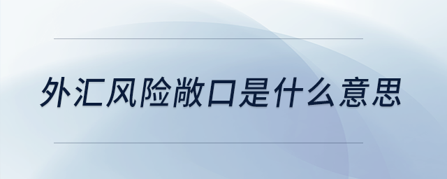 外匯風險敞口是什么意思