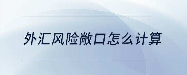 外匯風(fēng)險敞口怎么計算