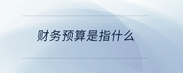 財務預算是指什么？