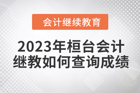2023年桓臺(tái)會(huì)計(jì)繼續(xù)教育如何查詢(xún)成績(jī)？