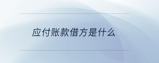 應(yīng)付賬款借方是什么