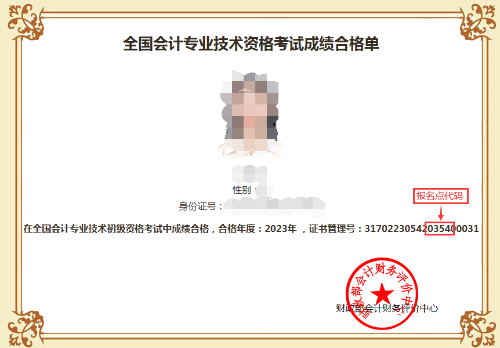 初級(jí)會(huì)計(jì)職稱考試
