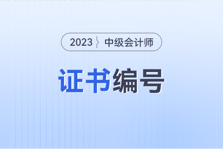 中級(jí)會(huì)計(jì)證書編號(hào)怎么查??？