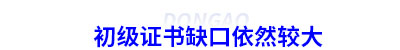 初級(jí)會(huì)計(jì)證書(shū)缺口依然較大 初級(jí)會(huì)計(jì)證書(shū)缺口依然較大