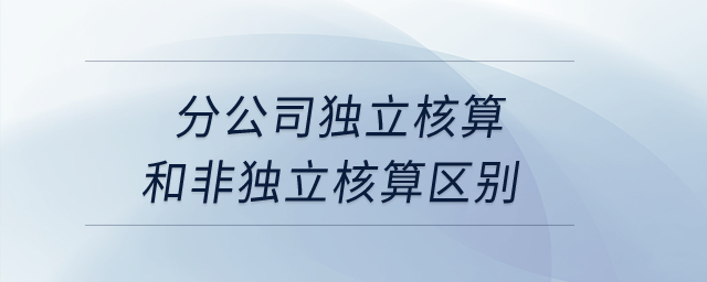分公司獨(dú)立核算和非獨(dú)立核算區(qū)別？