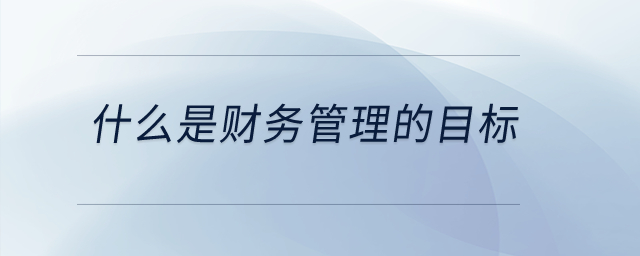 什么是財(cái)務(wù)管理的目標(biāo)？