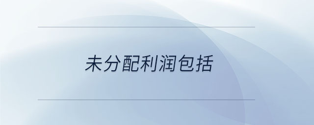 未分配利潤(rùn)包括