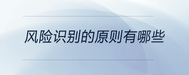 風(fēng)險(xiǎn)識(shí)別的原則有哪些