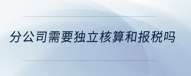 分公司需要獨(dú)立核算和報(bào)稅嗎？