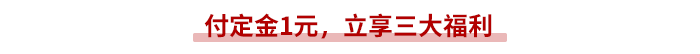 付定金1元，立享三大福利