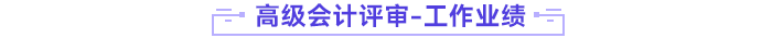 高級(jí)會(huì)計(jì)師評(píng)審工作業(yè)績